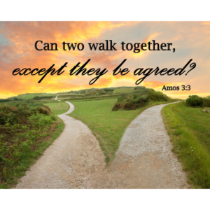 KJV Amos 3:3