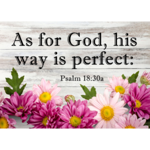 KJV Psalm 18:30a
