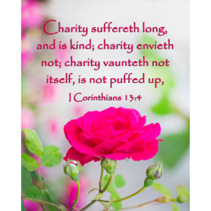 KJV I Corinthians 13:4