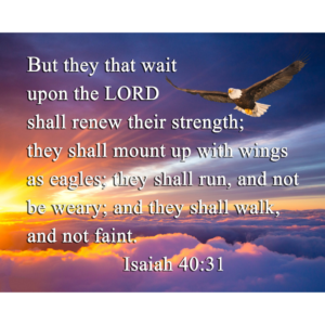 KJV Isaiah 40:31 Sunrise