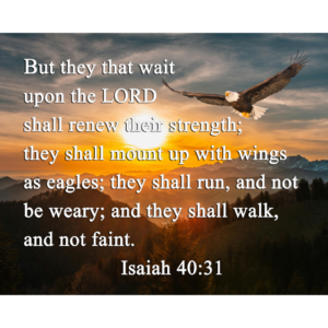 KJV Isaiah 40:31 Mountain