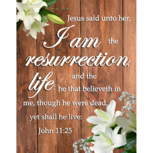 KJV John 11:25