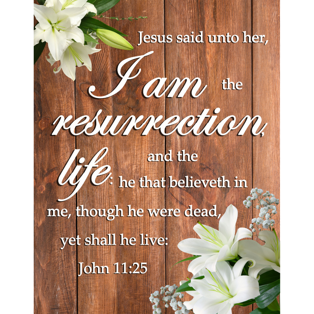 KJV John 11:25