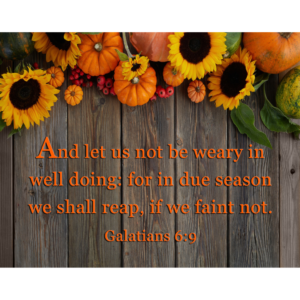 KJV Galatians 6:9