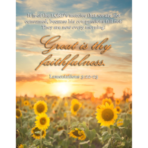 KJV Lamentations 3:22-23