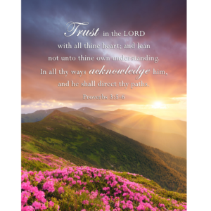 KJV Proverbs 3:5-6